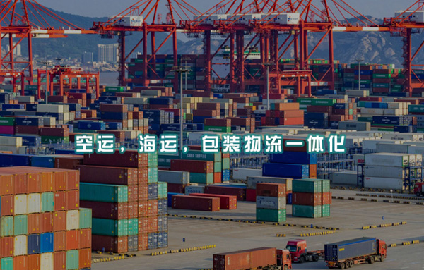 飛度國(guó)際物流